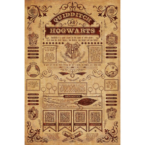 Harry Potter Poster Set Quidditch at Hogwarts 61 x 91 cm (4)