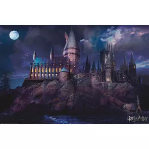 Harry Potter Poster Set Hogwarts 61 x 91 cm (4)