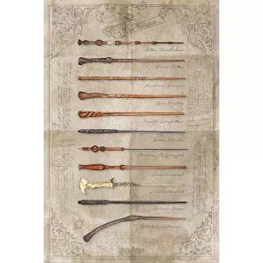 Harry Potter Poster Set The Wand chooses the Wizzard 61 x 91 cm (4)