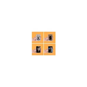 Harry Potter Magnetset 4-teilig 