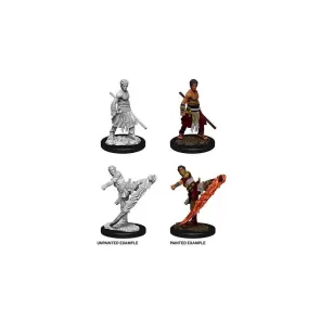 D&D Nolzur's Marvelous Miniatures Miniaturen unbemalt Male Half-Elf Monk Umkarton (6)