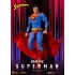 DC Comics Actionfigur Superman 20 cm