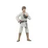 Star Wars Episode IV Black Series Actionfigur Luke Skywalker 15 cm