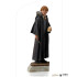 Harry Potter Ron Weasley Art Scale Statue 17 cm