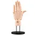 Takahiro Kagami PVC Artist Support Item Hand 1/1 Model/L Pale Orange 21 cm