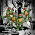 Teenage Mutant Ninja Turtles Actionfiguren Teenage Mutant Ninja Turtles Deluxe Set 8 cm