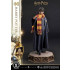 Harry Potter: Prime Collectible Statue 1:6 - Harry Potter (First Year)
