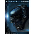 Alien 3D Wand-Relief Big Chap Head Trophy 58 cm