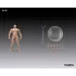 Inart Actionfigur 1/12 Blank Male Body White 17 cm 