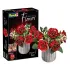 Revell Flowers Holzblumen Dream of Roses 22 cm