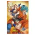 Dragon Ball Super 3D Poster Champa Goku 38 x 58 cm 