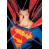 DC Comics Puzzle Superman