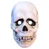 Don Post Injection Maske Skull