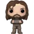 [BWARE] Harry Potter POP! Television Vinyl Figur Sirius Black 9 cm