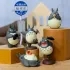 Mein Nachbar Totoro Minifiguren Collection Totoro 5 cm Blind Box Sortiment (6)