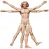 The Table Museum Figma Actionfigur Vitruvian Man 16 cm