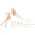 Sousai Shojo Teien Model Kit Zubehör-Set 1/10 Dress up Body M