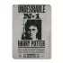 Harry Potter Blechschild Undesirable No. 1 15 x 21 cm