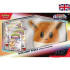Pokémon TCG Scarlet & Violet 08.5 Prismatic Evolutions Eevee Accessory Pouch Collection *Englische Version*