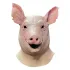 Spiral Maske Pig 