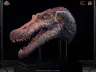 Jurassic Park III Replik 1/2 Spinosaurus (Reproduction) 100 cm