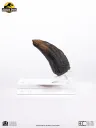 Jurassic Park 1/1 Replik Velociraptor Toenail Type A 11 cm