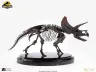 Jurassic Park Statue 1/24 Triceratops Fossil Skeleton Bronze 35 cm