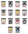 Naruto 3D Magnet Secret Ninja Scroll Series Blind Box Display (12)