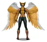 DC Multiverse McFarlane Collector Edition Actionfigur Hawkgirl (Kendra Saunders) 28 cm