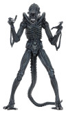 Aliens Ultimate Actionfigur Warrior (1986) Blue 23 cm