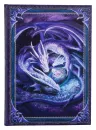 Anne Stokes Notizbuch Welcome Hatchling A5 18 cm