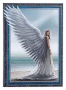 Anne Stokes Notizbuch Spirit Guide A5 18 cm