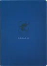 Harry Potter Softcover Notizbuch Ravenclaw 21 cm
