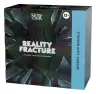 Magic the Gathering Reality Fracture Secret Lair Bundle englisch